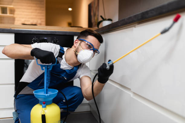Best Residential Pest Control  in Oronogo, MO