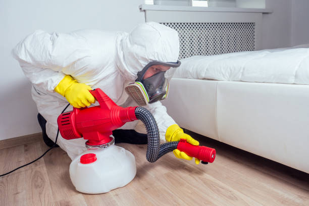 Best Pest Prevention Services  in Oronogo, MO
