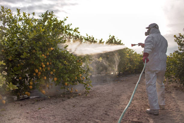 Best Bed Bug Extermination  in Oronogo, MO