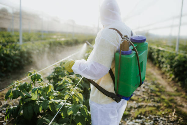 Best Insect Control  in Oronogo, MO